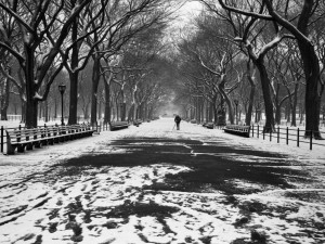 Central.Park.03-1991