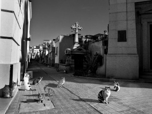 Cementerio.Recoleta-1999