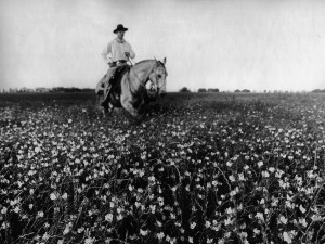 Gaucho Provincia de Buenos Aires 1996