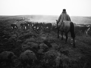 Gaucho Tierra del fuego 1993