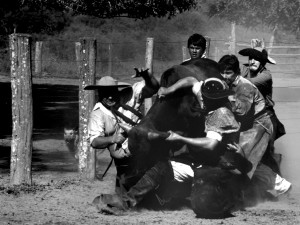 Gauchos Formosa 1996